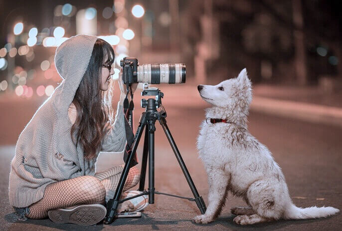 카메라를 사이에 두고 있는 하얀 개와 여자