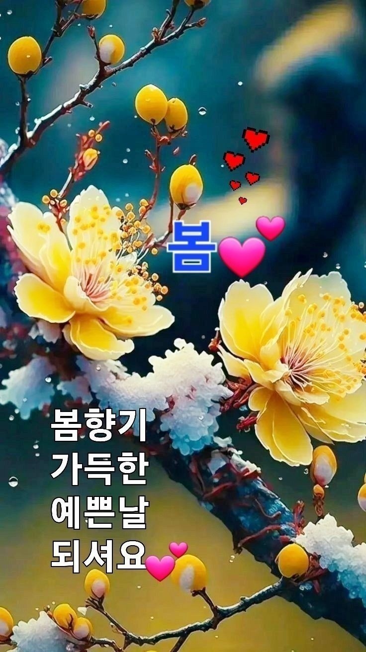 나이엔 졸업이 없고 즐거움엔 정년이 5