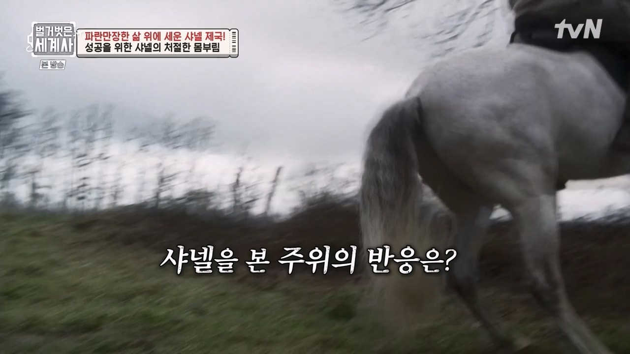 벌거벗은 세계사.E110.230802p-NEXT.mp4_20240217_190951.660.jpg