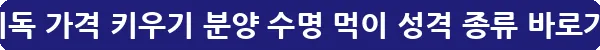 프레디독 가격 키우기 분양 수명 먹이 성격 종류_33