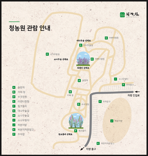 고창 청농원 라벤더축제, 라벤더 축제 일정, 운영시간, 입장료, 반려견 동반 가능, 주차장,고창 관광명소