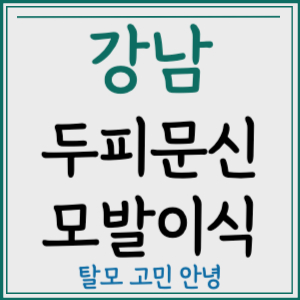 서울 강남구 두피문신 모발이식