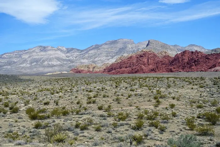 레드 록 캐년 Red Rock Canyon