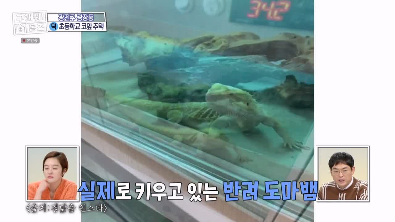 구해줘홈즈 광진구 광장동 초품단 (feat. 학교 다녀오겠습니다) 매물 가격 및 구조 인테리어 리모델링 최종선택 소개 다시보기