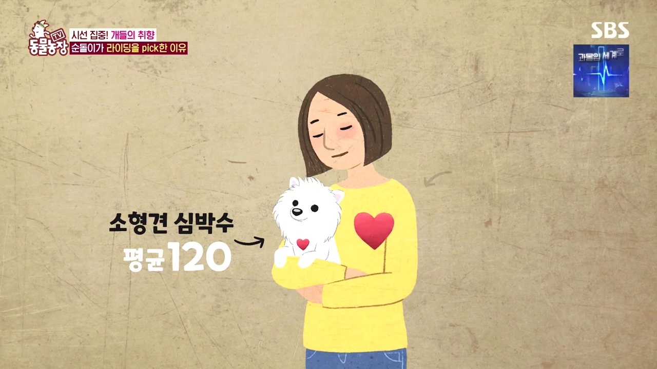 TV 동물농장.E1152.231232p-NEXT.mp4_20231231_165730.704.jpg