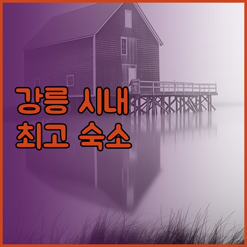 강릉 시내 최고의 숙소를 찾았다 그 