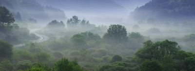 법률상 인정됩니다. 유언장 작성 이렇게 하면... 2