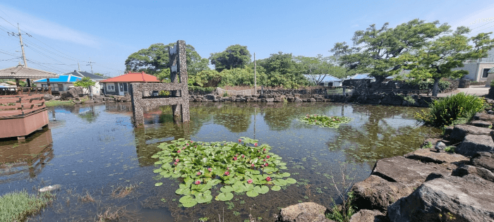 저갈물(봉천수 연못) 사진