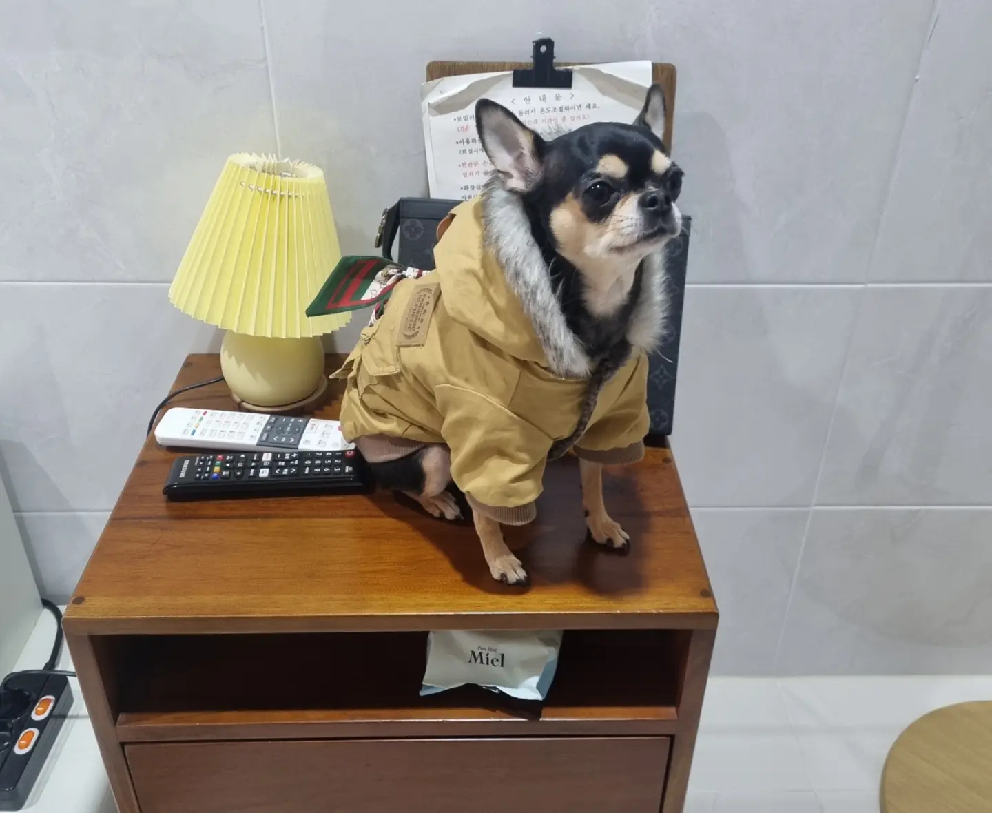 낄낄아놀자 이미지