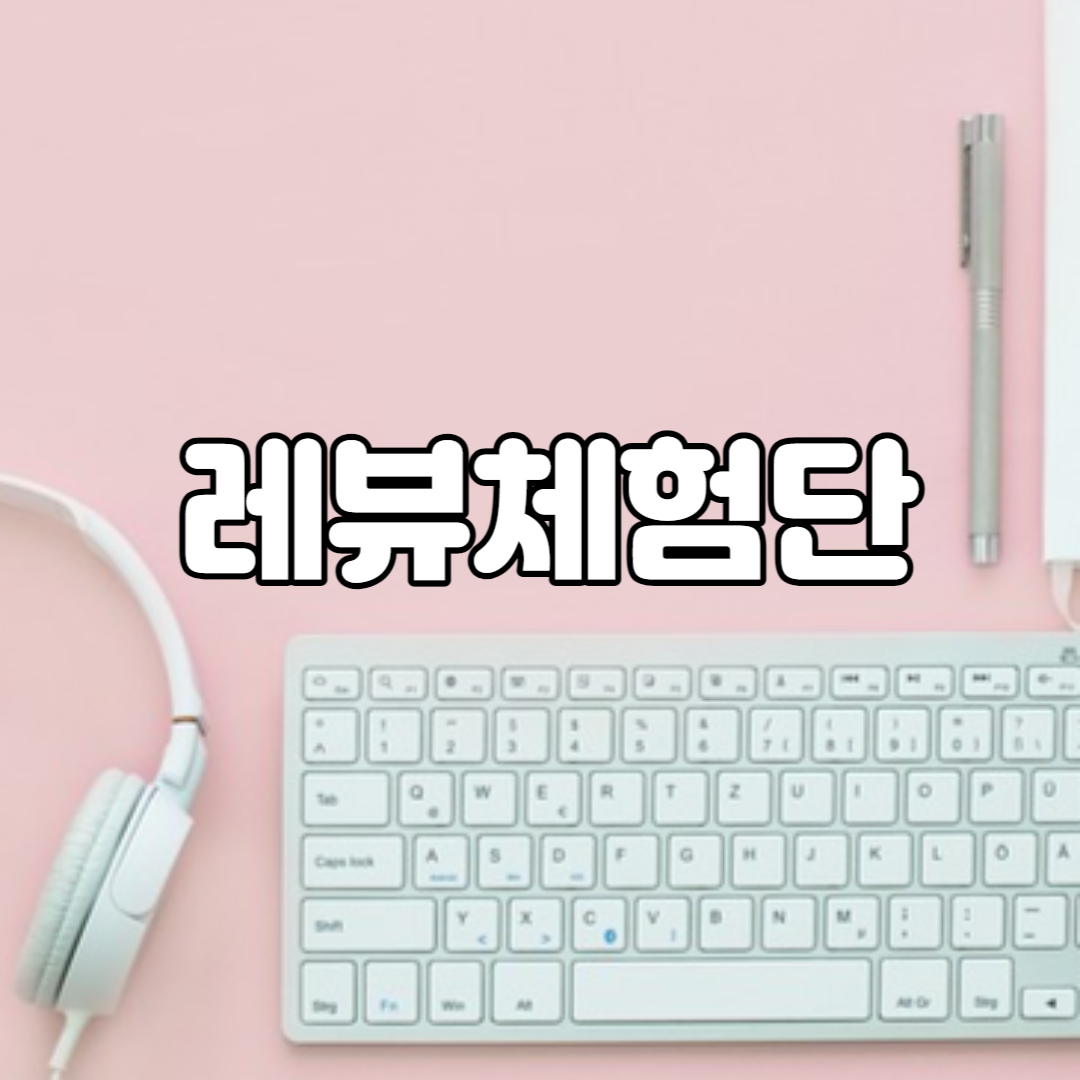  레뷰체험단 신청 선정 작성