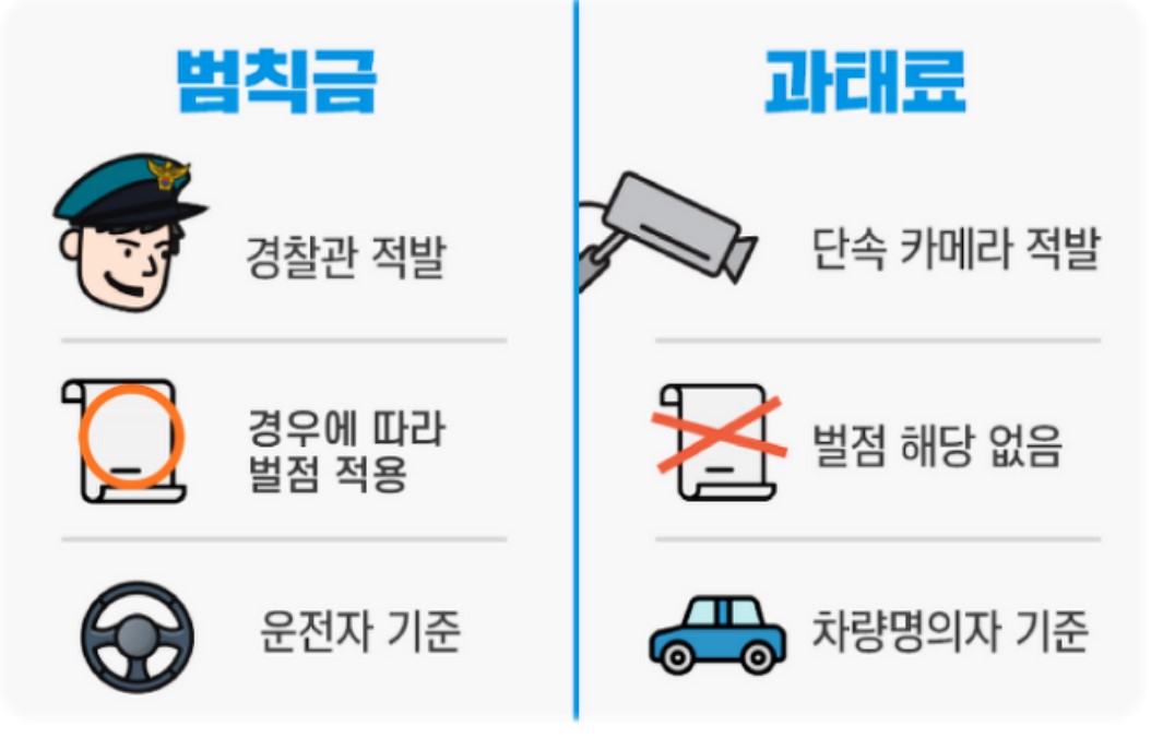 자동차과태료