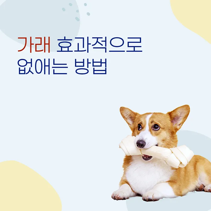  가래 없애는 방법 그리고 좋은 음식