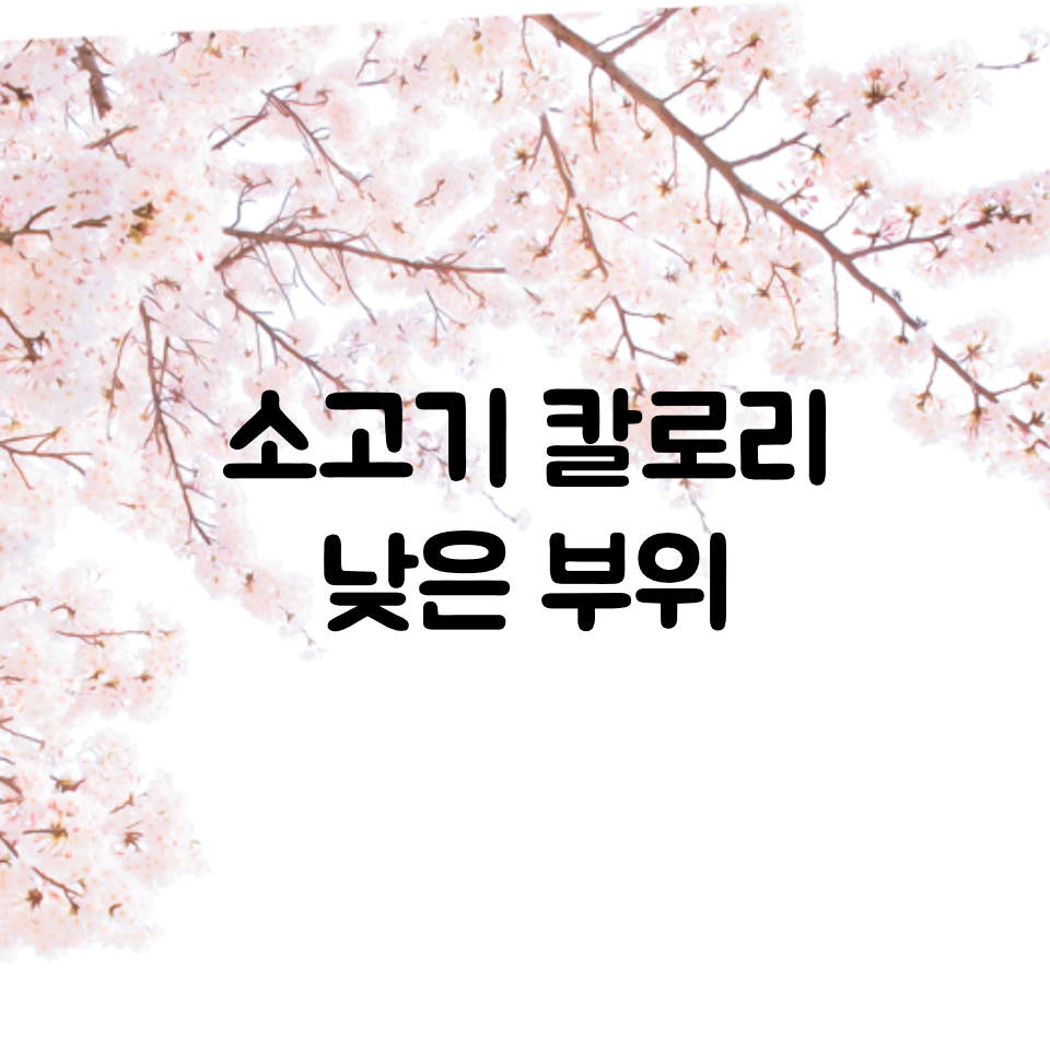 칼로리 낮은 음식, 고기 / 열량 낮은 소고기 다이어트 부위