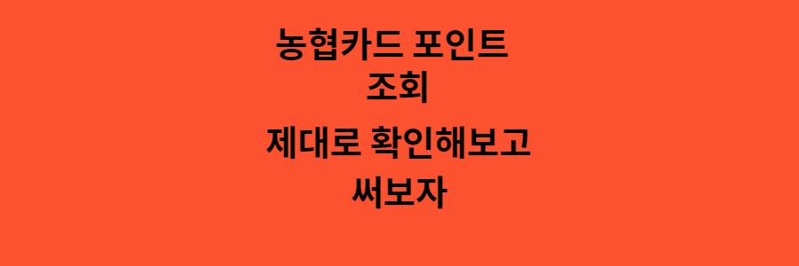 농협카드 포인트 조회 제대로 확인하고 쓰는 방법!
