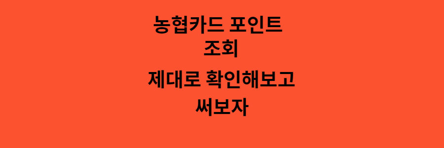 뇽협카트 포인트 조회 제대로 확인해보고 써보자
