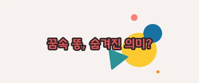 꿈속에서 똥싸는 꿈 이제 베일을 벗겨볼까요