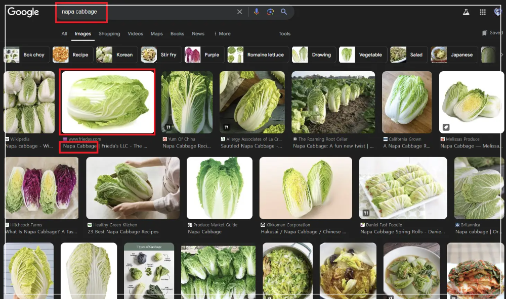 배추-영어로-nape-cabbage-구글-검색-이미지