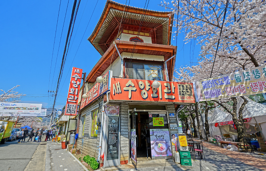경화반점 이미지