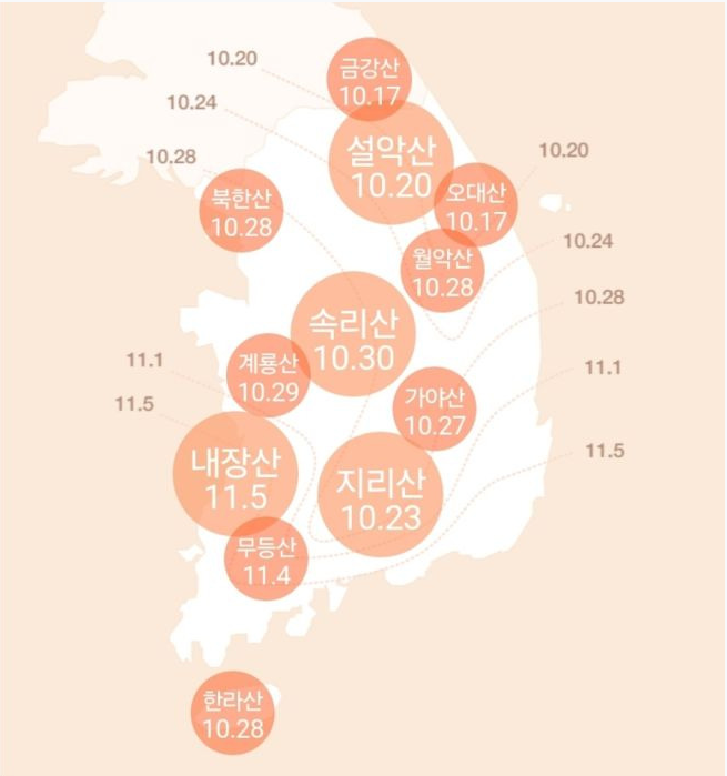 단풍시기 단풍축제