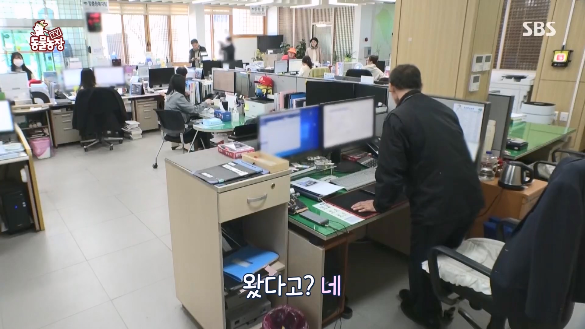 TV 동물농장.E1118.230423p.H264-F1RST.mp4_20230423_181128.238.jpg