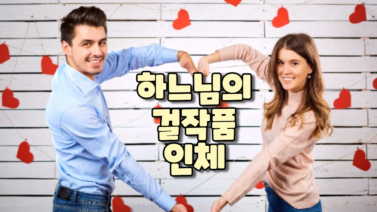  창조주의 걸작품 인체