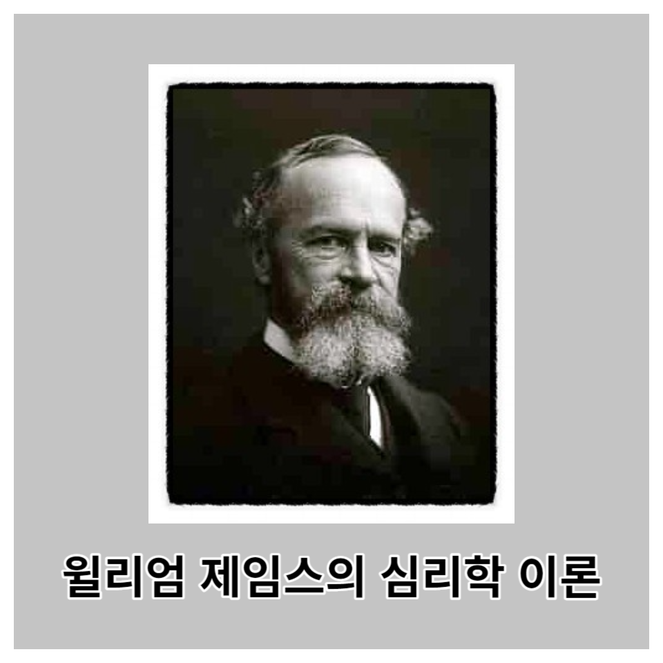 윌리엄 제임스의 심리학