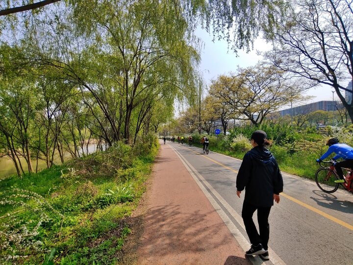 서울-산책코스-샛강-생태공원