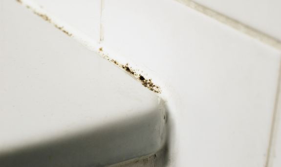  간편한 화장실 청소, 곰팡이 제거제 후기