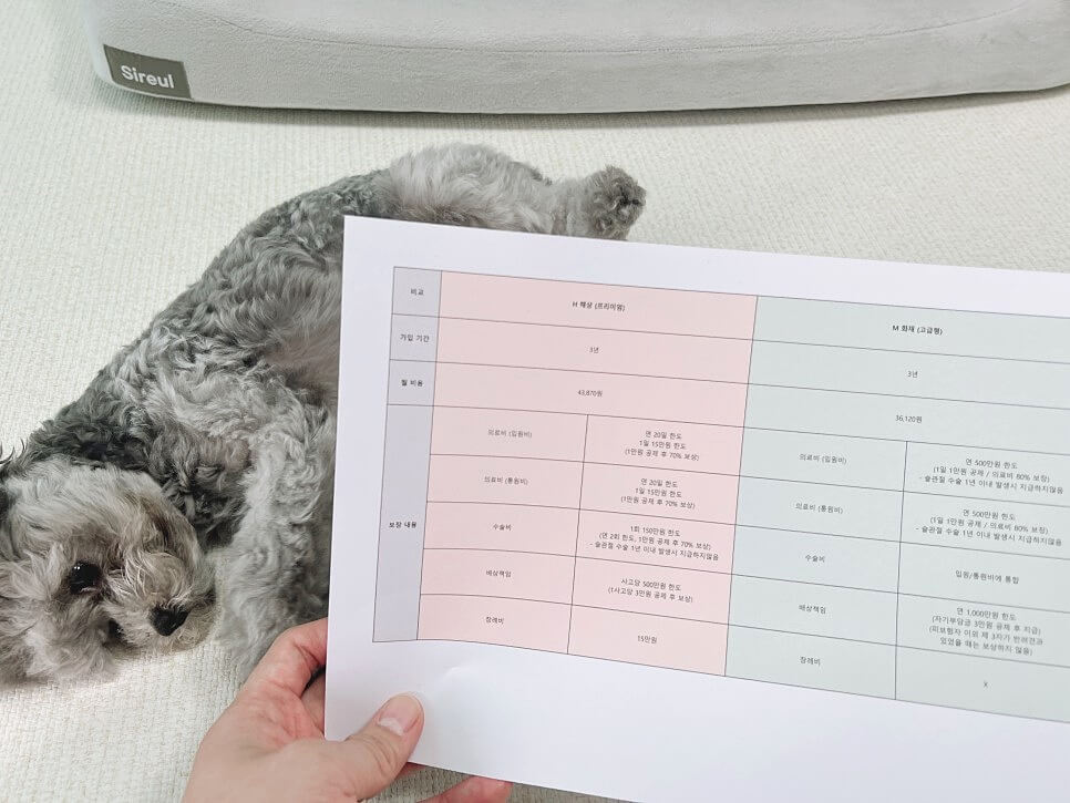 펫보험 비교