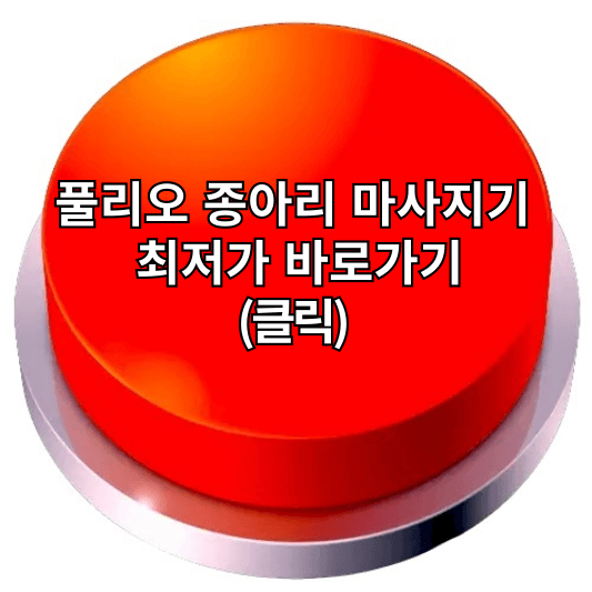 풀리오 종아리 마사지기