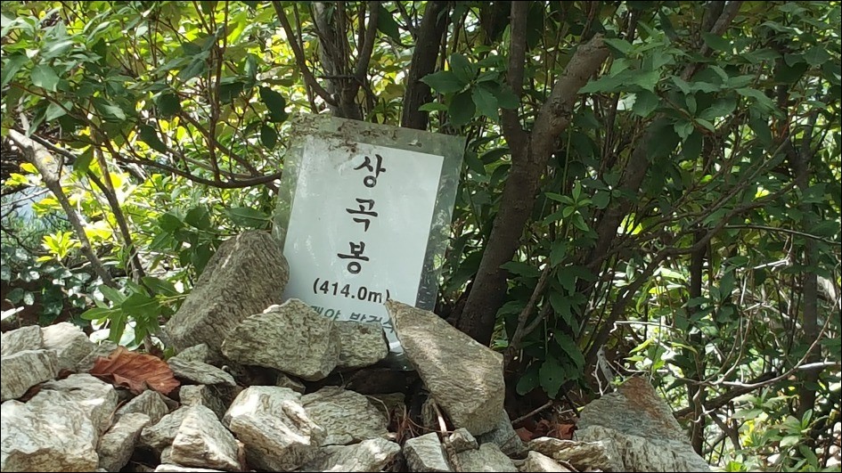 앵무봉 이미지