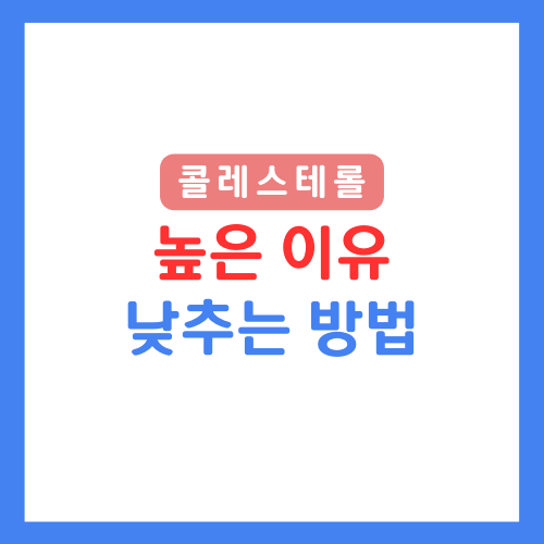 콜레스테롤높은이유및낮추는방법썸네일