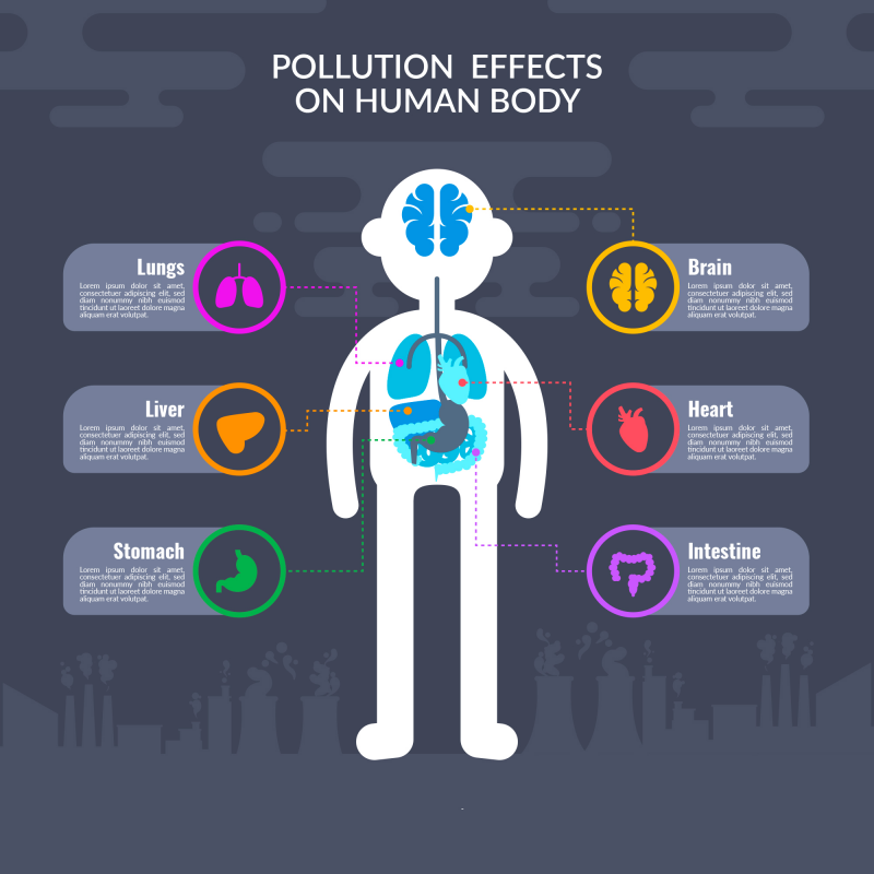 대기오염이 신체에 미치는 영향