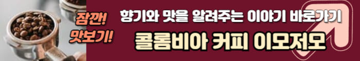 콜롬비아 원두