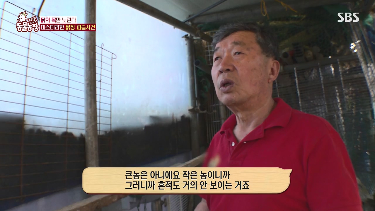 TV 동물농장.E1176.240617p-NEXT.mp4_20240616_171025.338.jpg