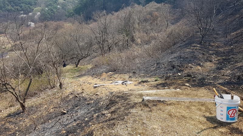 산불에 그을린 산소주변모습