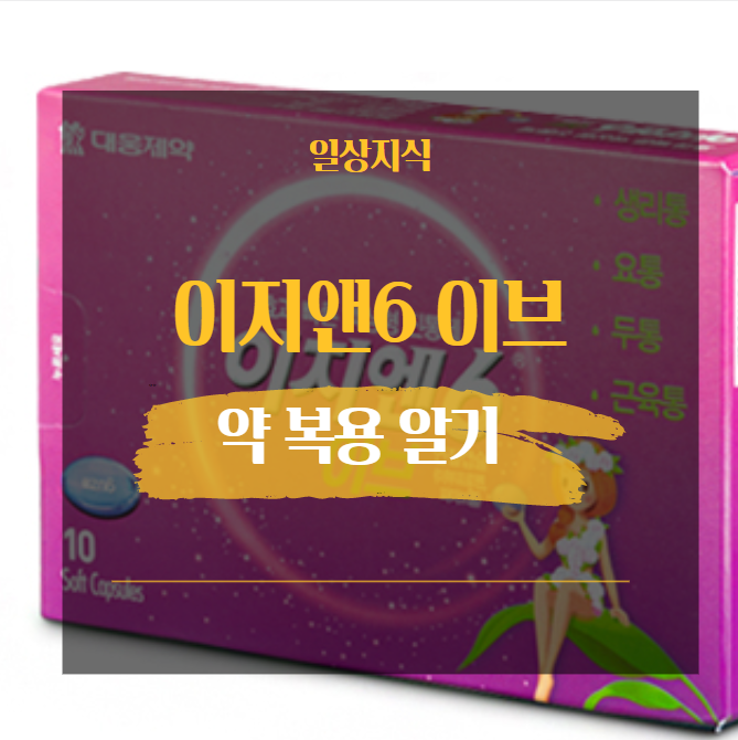 이지앤6 이브 부작용 효능 성분 1