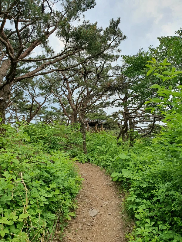 두타산 정상 직전