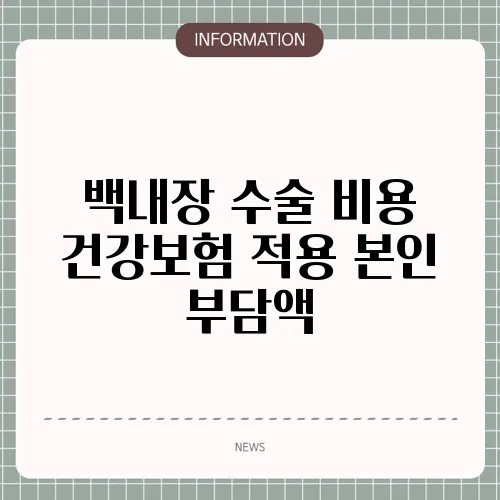백내장 수술 비용 건강보험 적용 본인 부담액