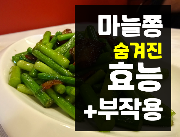  마늘쫑 효능 및 숨겨진 부작용 총정리