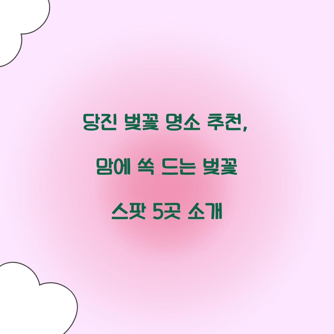 당진 벚꽃 명소 추천