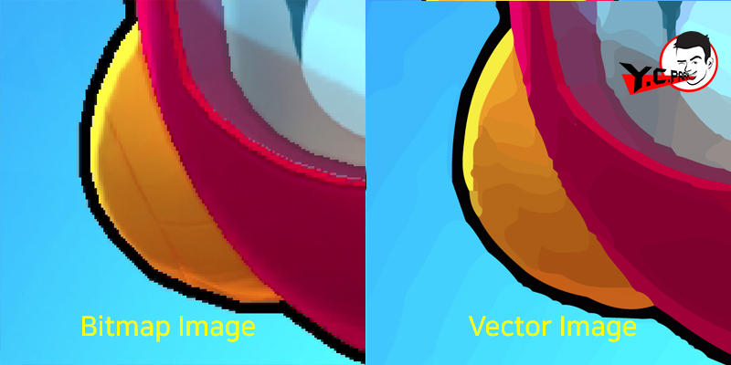 Bitmat Image-Vector Image 비교