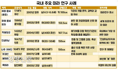 미라네 이미지