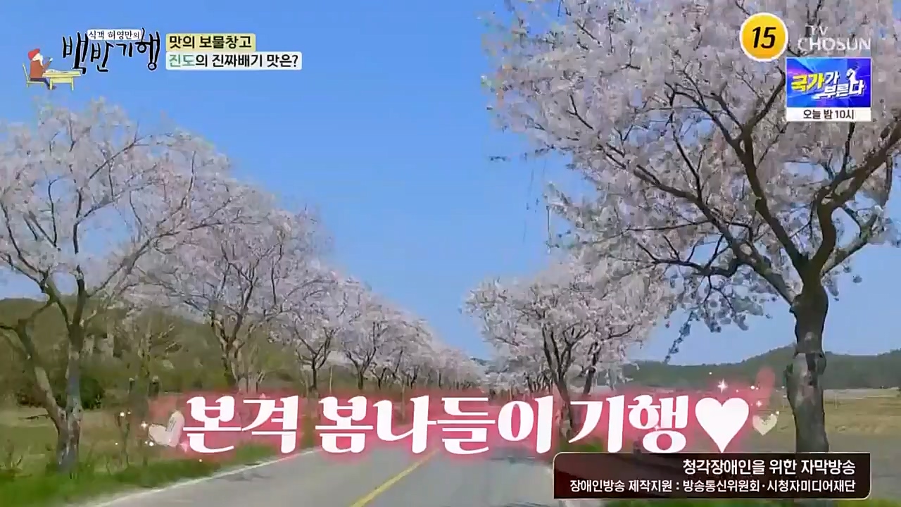 식객 허영만의 백반기행.E194.230332p-NEXT.mp4_20230402_052806.633.jpg