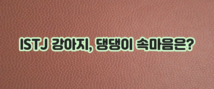 ISTJ 강아지 MBTI 분석, 숨겨진 성격적 특성이 궁금하지 않으신가요?