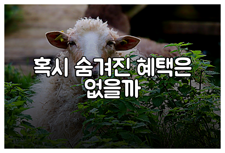 혹시 숨겨진 혜택은 없을까