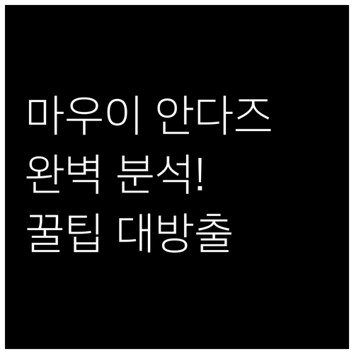 안다즈 마우이 앳 와일레아 리조트 완