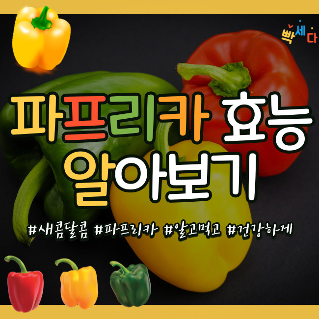  알록달록 각양각색 파프리카!! 아삭아삭한 식감이 식욕을 자극한다!! 파프리카의 효능과 부작용에 대해 알아보기