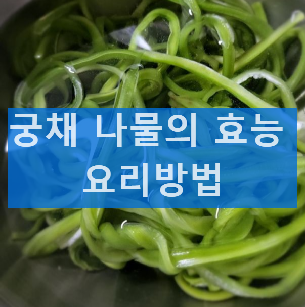 궁채 나물의 효능 및 부작용 요리