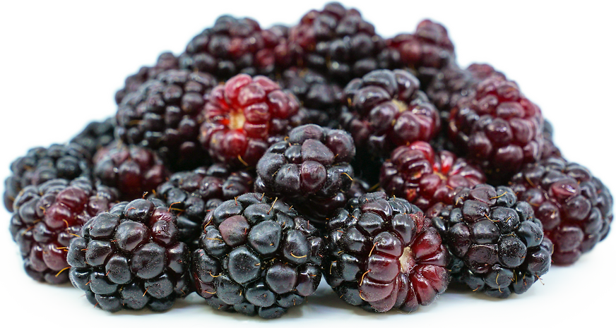  보이젠베리 Boysenberry 에 대해서 알아볼게요.